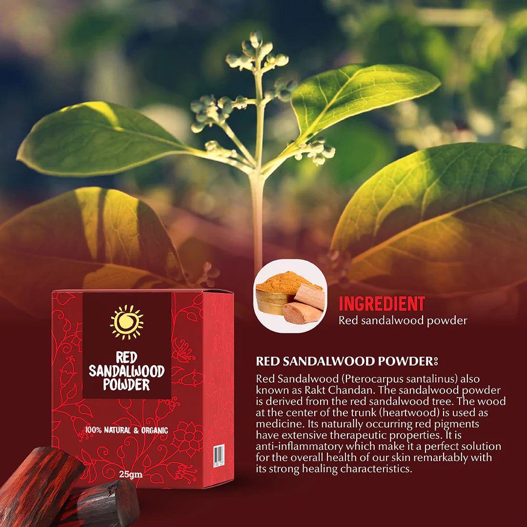 Rajkonna 100% Natural & Organic Red Sandalwood Powder (25gm)