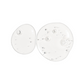 The Ordinary Ascorbyl Glucoside Solution 12% Brightening Serum (30ml)
