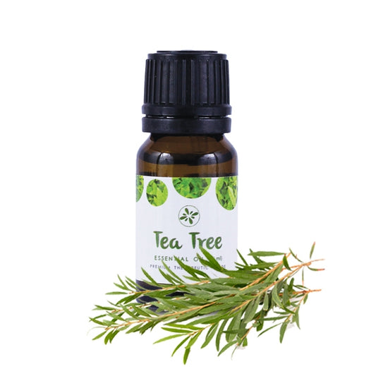 Skin Cafe 100% Natural Essential Oil – Tea Tree